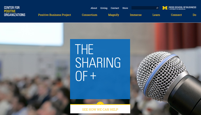 Screenshot of Center for Positive Organizations site